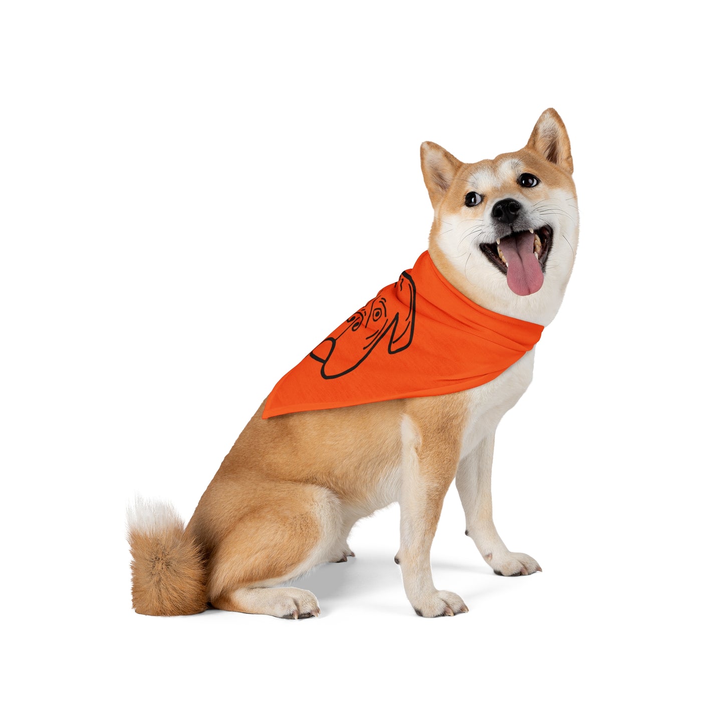 Walter Pet Bandana- Orange