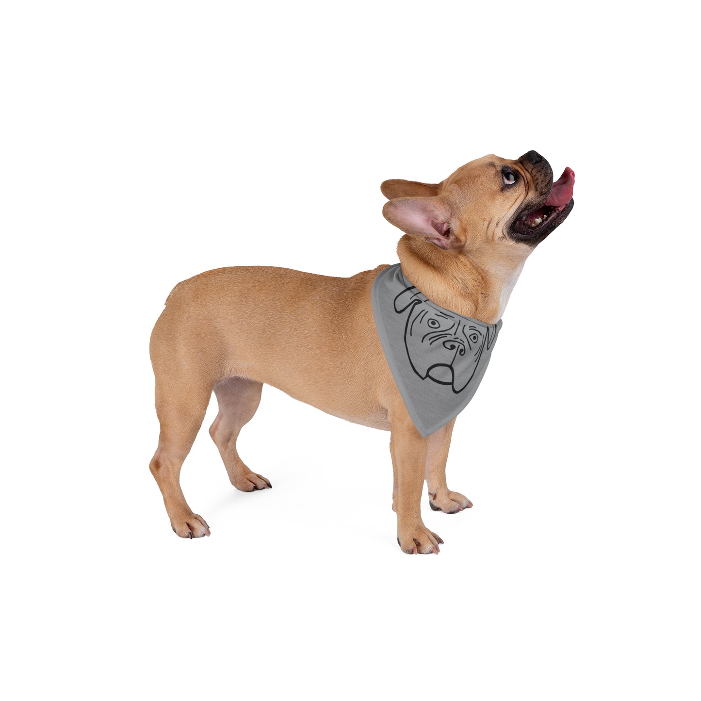 Walter Pet Bandana- Gray