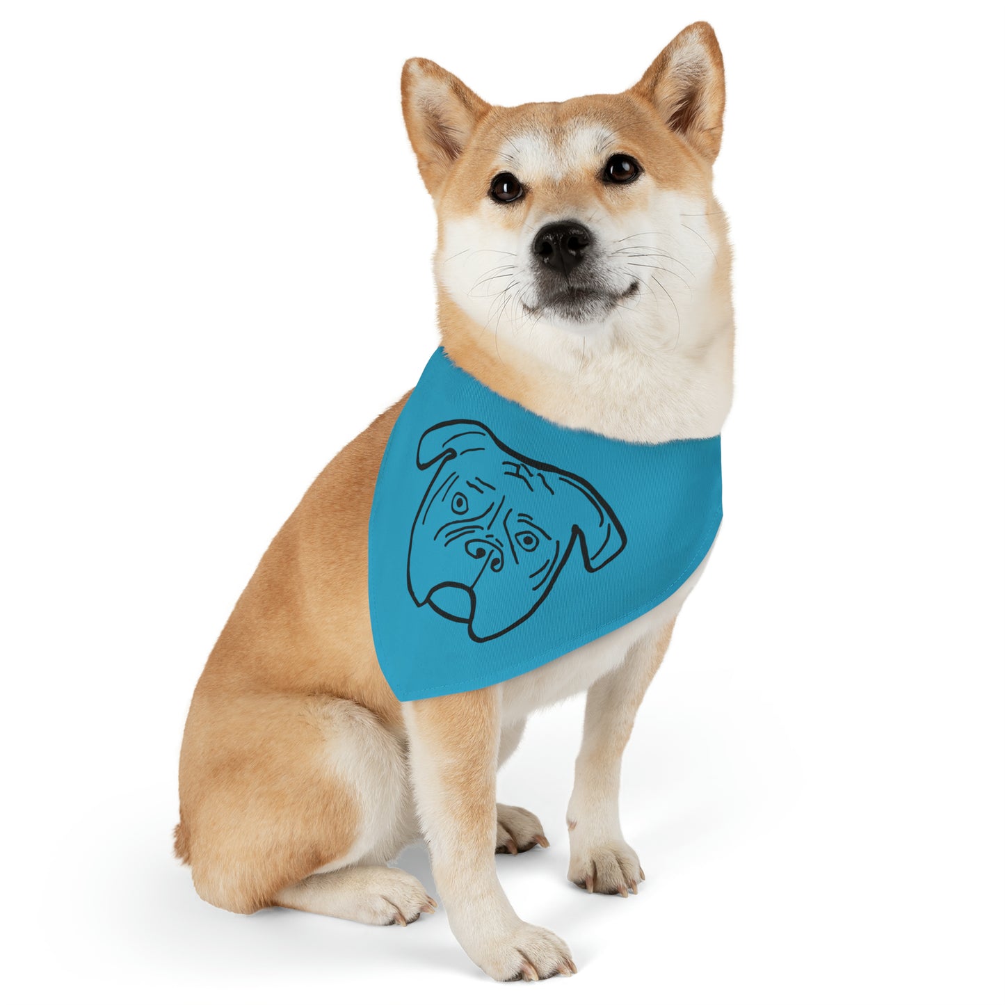 Walter Pet Bandana Collar- Blue