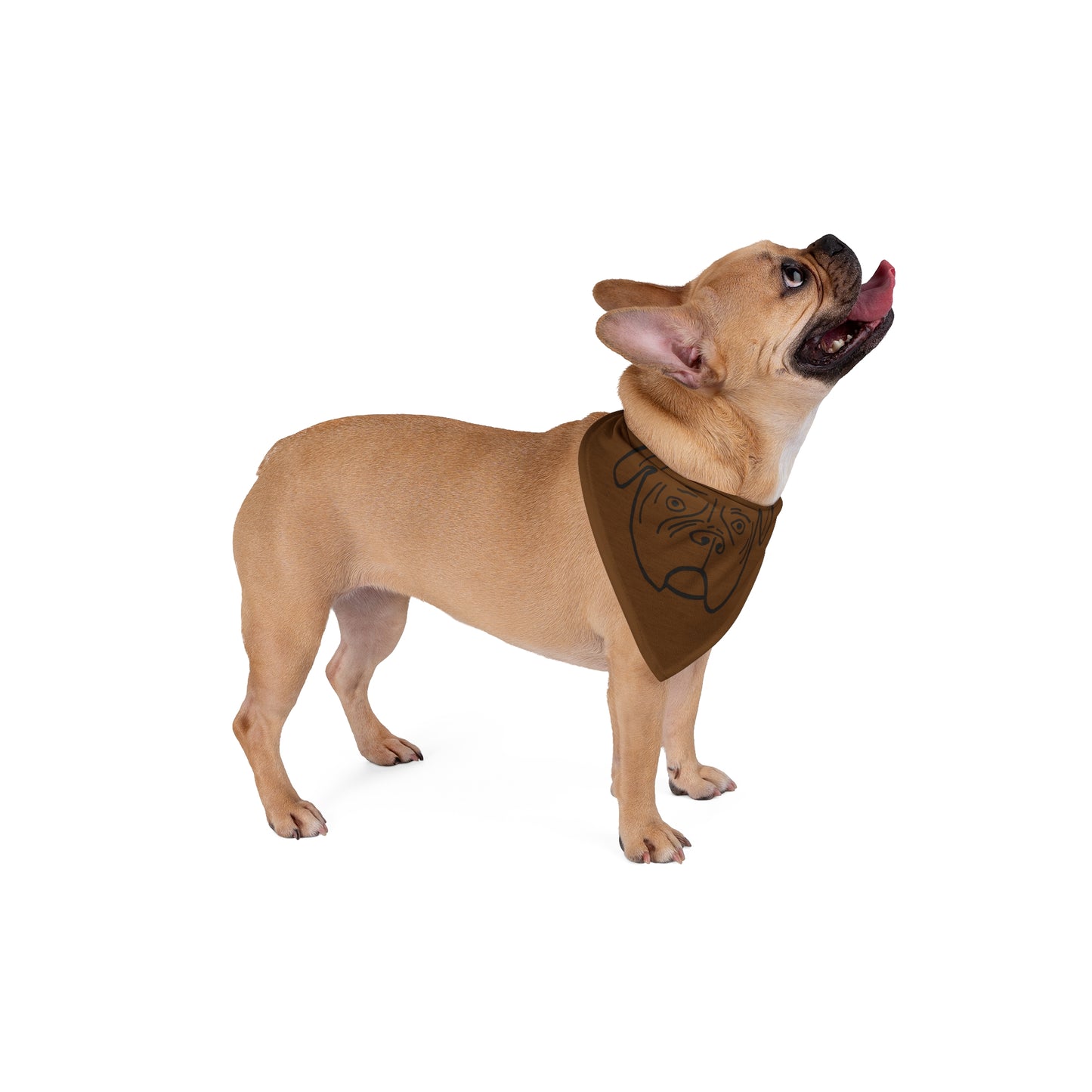 Walter Pet Bandana- Brown