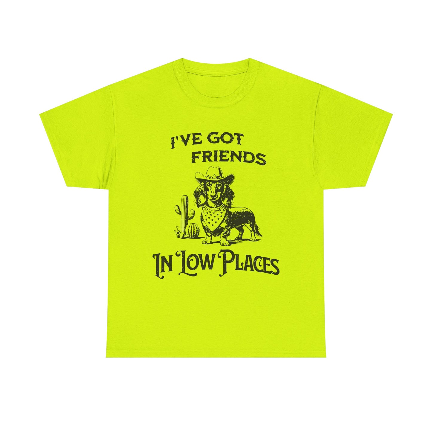Cowboy Cowgirl Tee — "I've Got Friends In Low Places" Western Graphic T-Shirt
