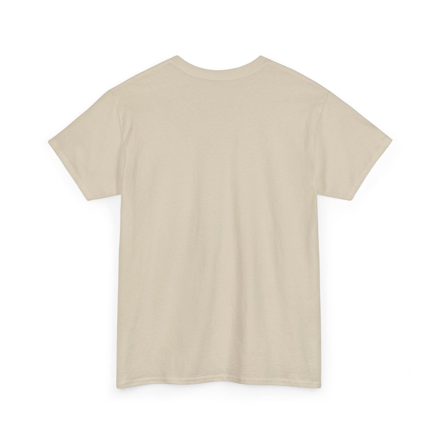 EXPENSIVE GUNS Tee