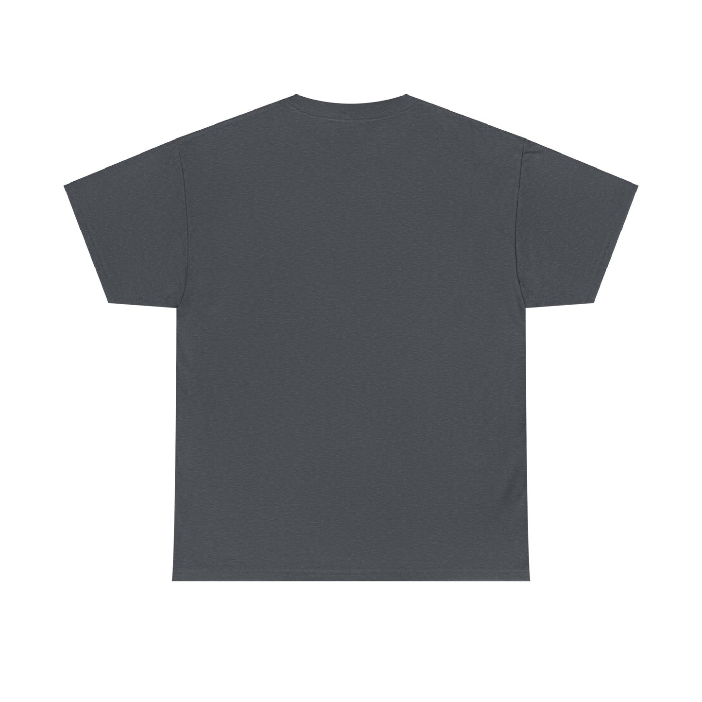 EXPENSIVE AMMO Tee