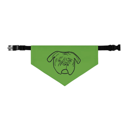 Walter Pet Bandana Collar- Green