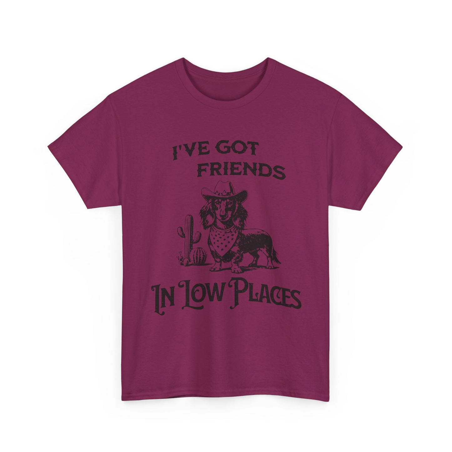 Cowboy Cowgirl Tee — "I've Got Friends In Low Places" Western Graphic T-Shirt
