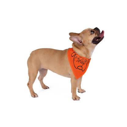 Walter Pet Bandana- Orange